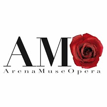 AMO Arena Museo Opera1