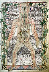 Представление об анатомии и кровеносных сосудах в XIII веке