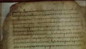 Фрагмент Кодекса, написанного в Вероне в 517 году