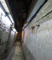 Римская улица и подиум Курии в подземельях ресторана 12 Апостолов
