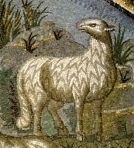 Овечка, мозаика 5 века, Мавзолей Галлы Плачидии, Равенна