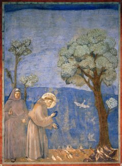 Св.Франциск говорит с птицами, 1295-99, Джотто, Базилика Св.Франциска, Ассизи