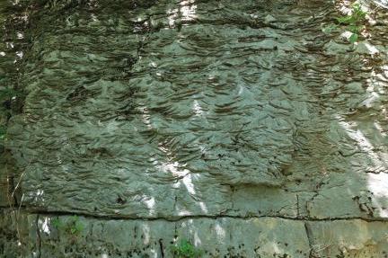 Каменоломня люмакеллы с явными слоями отложений моллюсков (Пьянете, провинция Вероны)