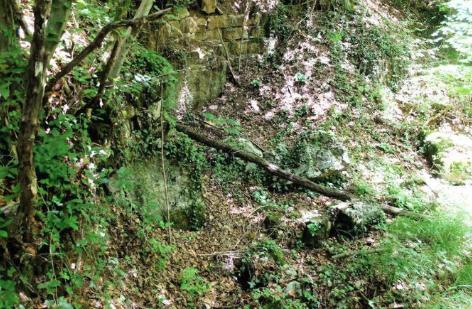 Часть старой каменоломни по добычи люмакеллы Сан Витале (Ровере Веронезе)