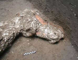Помпеи — впервые найдены лошади